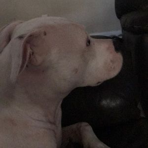 Meet your Posher, Vickie